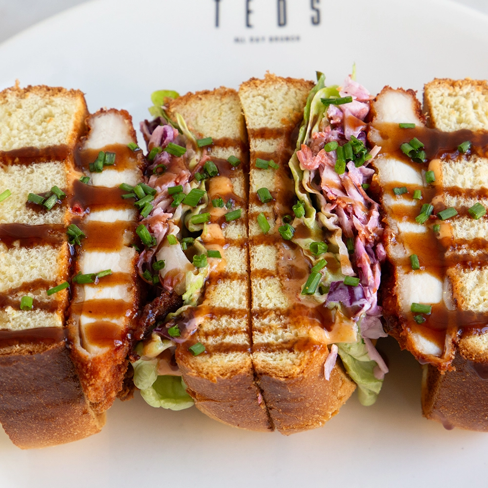 teds-home1